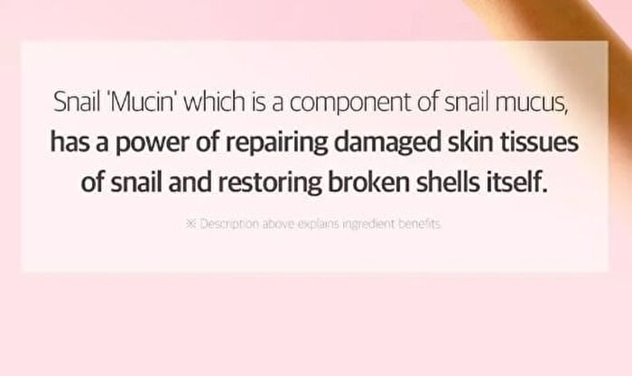 Snail Truecica Miracle Repair Toner - 2024 Version - 150ml