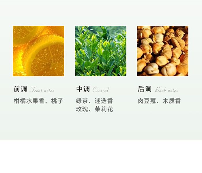 Wodwod Moisturizing Fragrance Hand Cream - 3 Flavors - 02# Quiet Pine Forest - 60g
