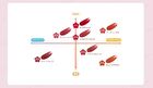 DAISY DOLL Watery Lip Tint - R-02 Burnt Red