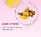 High-Pigment Plumping Lip Gloss - 14 Colors - 04# - 8g