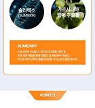 Garcinia Cellulite Patch For Face - 6 patches