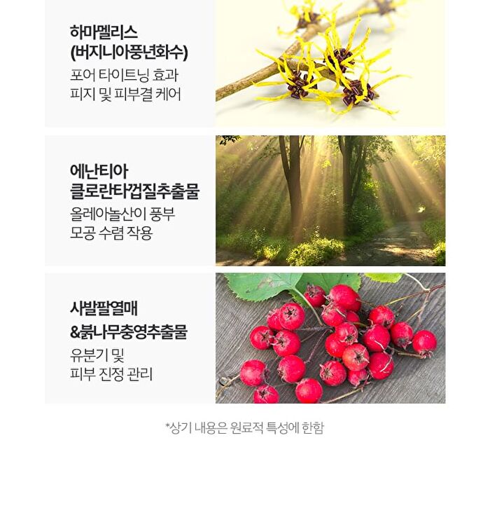 Hamamelis Toner - 2024 Version - 210ml