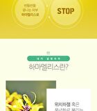 Hamamelis Toner - 2024 Version - 210ml
