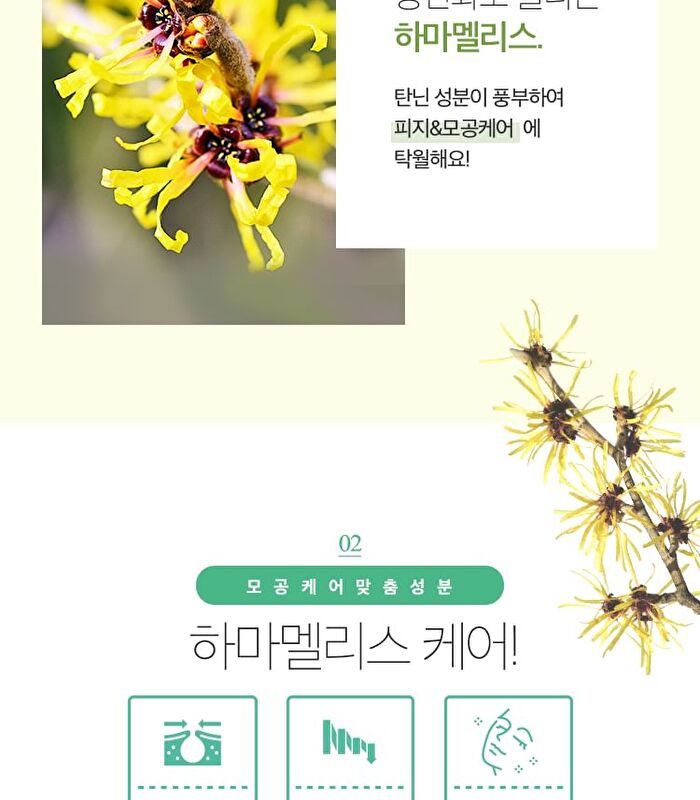 Hamamelis Toner - 2024 Version - 210ml