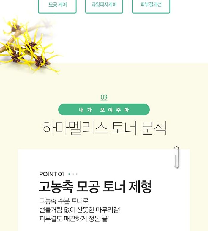Hamamelis Toner - 2024 Version - 210ml