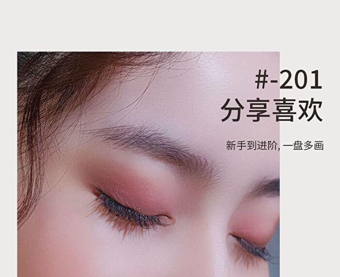 Shedella Matte Eyeshadow Palette - Dazzle Shades - #CB-201 - 10g