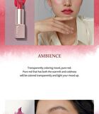 Mood Enhancer Sheer - 2 Colors - #S005 Mirrorlike
