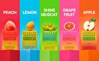 Sunmanc Tea For Better Life Kombucha - 5 Types - Lemon