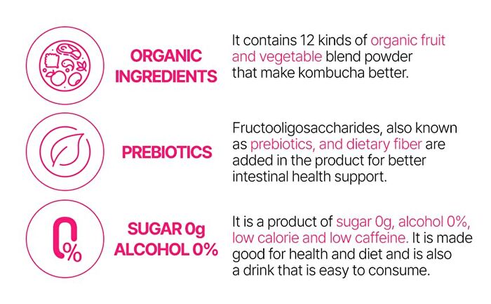Sunmanc Tea For Better Life Kombucha - 5 Types - Shine Muscat