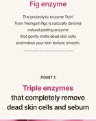 I\'m from Fig Enzyme Powder Cleanser - 2024 Version - 50g