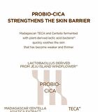 SKIN1004 Madagascar Centella Probio-Cica Glow Sun Ampoule - 50ml