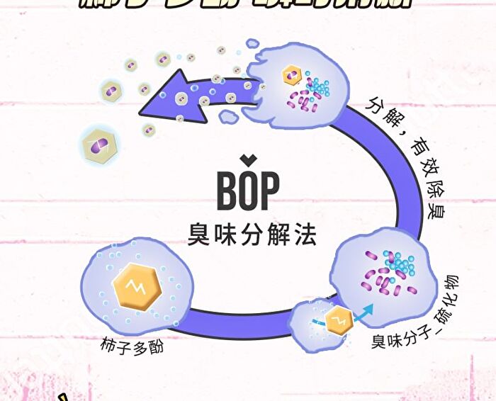 Bop Fruity Fresh Mouth Spray Cinnamoroll Limited Edition - Cinnamoroll (Peach) - 8ml