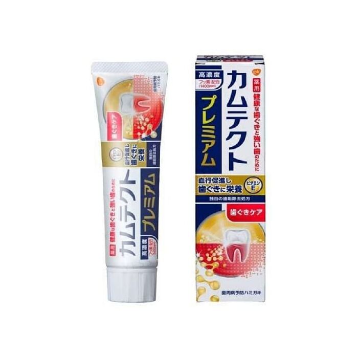 Earth Camtect Premium Gum Care Toothpaste - 105g