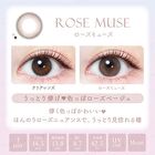 MOIST LABEL UV One-Day Natural Color Lens Rose Muse 20 pcs - P-0.00 (20 pcs)