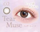 MOIST LABEL UV One-Day Natural Color Lens Tear Muse 20 pcs - P-0.00 (20 pcs)