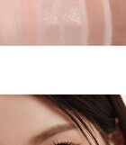 Ready To Wear Eye Palette Respect Edition - 3 Types - #06 Cool Standard