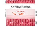 Ceramide Ectoin Ultra Moisturizing Cream (Travel Size) - Set (12.5g x 4pcs)