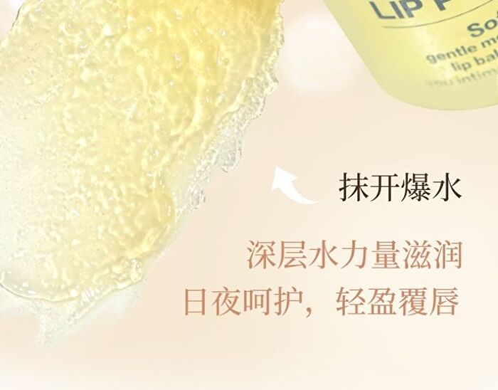 Gogo Tales Honey Jar Moisturizing Lip Balm - #Lip Blam - 9g
