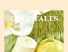 Gogo Tales Honey Jar Moisturizing Lip Balm - #Lip Blam - 9g