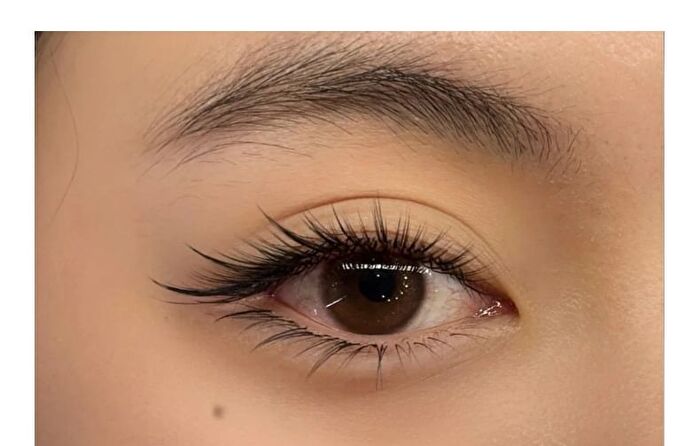 Fox Edition False Eyelashes - #Fox