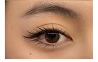 Fox Edition False Eyelashes - #Fox