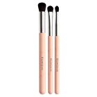 Eyeshadow & Point Makeup Brush Set - 3 pcs
