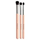 Eyeshadow & Point Makeup Brush Set - 3 pcs