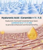 Aplb Hyaluronic Acid Ceramide Beauty Tablet - 500mg x 30 tablets