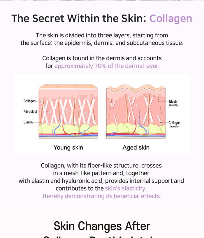 Aplb Collagen Peptide Beauty Tablet - 500mg x 30 tablets