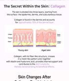 Aplb Collagen Peptide Beauty Tablet - 500mg x 30 tablets