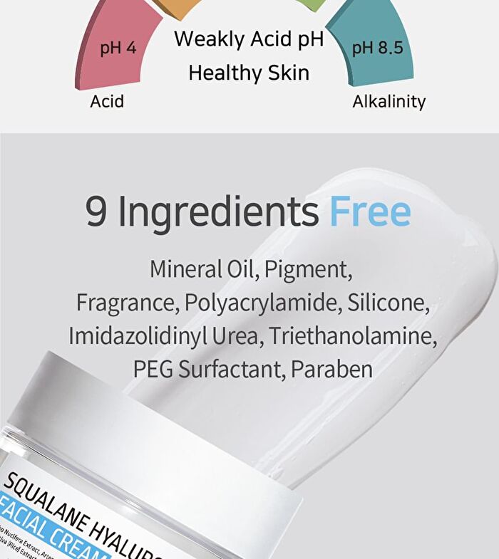 Aplb Squalane Hyaluronic Acid Facial Cream - 55ml