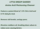 Little Dream Garden Amino Acid Moisturzing Cleanser - #Cleanser - 60g