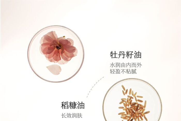 Little Dream Garden Shea Butter Body Scrub - 250g