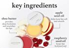 Appleberry Lip Mask - 12g