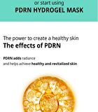 Vt PDRN Hydrogel Mask - 33g x 1 sheet