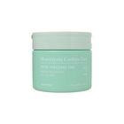 Houttuynia Cordata Cica Pore Freezing Pad - 60 pads