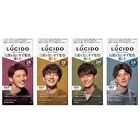 Lucido Design Hair Color - 2A Cool Ash