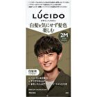 Lucido Design Hair Color - 2A Cool Ash