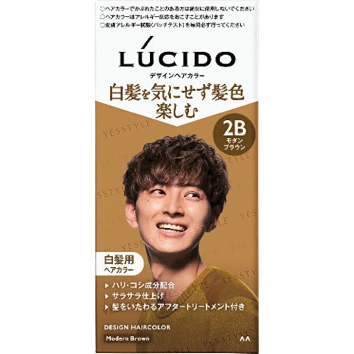 Lucido Design Hair Color - 2M Mat Ash