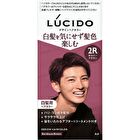 Lucido Design Hair Color - 2M Mat Ash