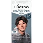 Lucido Design Hair Color - 2R Bordeaux Brown