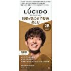 Lucido Design Hair Color - 2R Bordeaux Brown