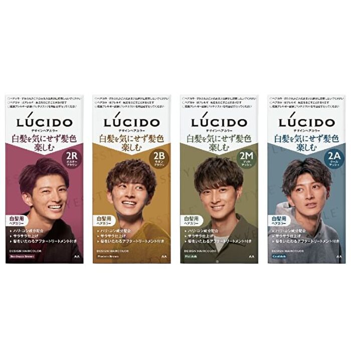 Lucido Design Hair Color - 2R Bordeaux Brown