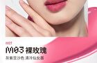 Neiyou Translucent Mirror Liquid Lipstick Pen - 6 Colors - M06# Nude Pink Brown - 3g