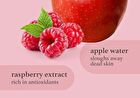 Appleberry & Appleplum Lip Oil Set - 2 pcs