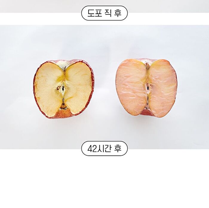 Apricot Lip Night Mask - 5g