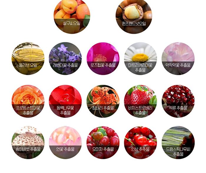 Apricot Lip Night Mask - 5g