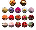 Apricot Lip Night Mask - 5g