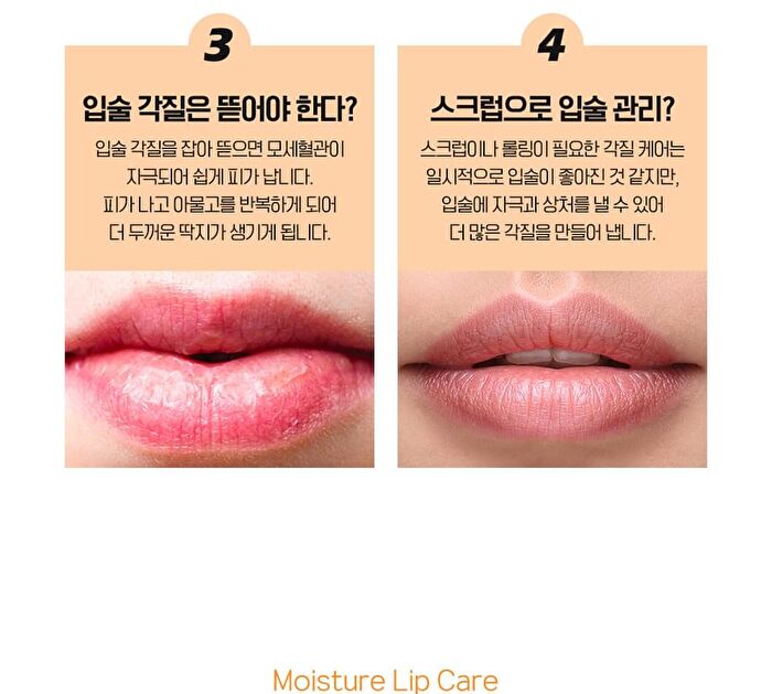 Apricot Lip Night Mask - 5g