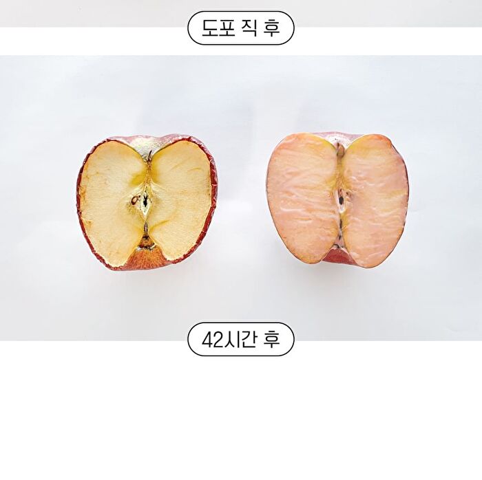 Pomegranate Lip Night Mask Set - 5g x 3 pcs